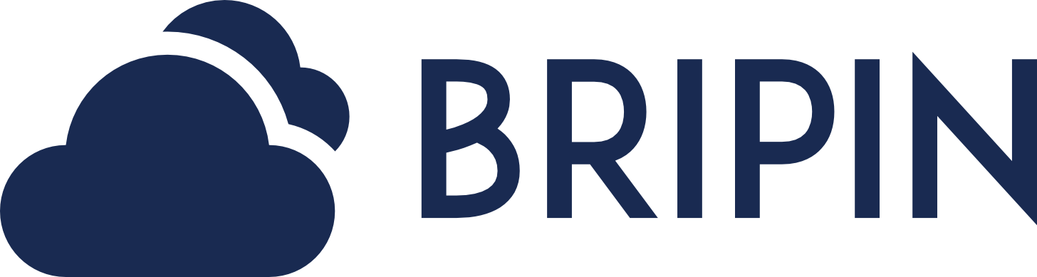 Bripin Web Services Logo